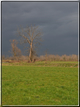 foto Paesaggi Autunnali tra le Colline 